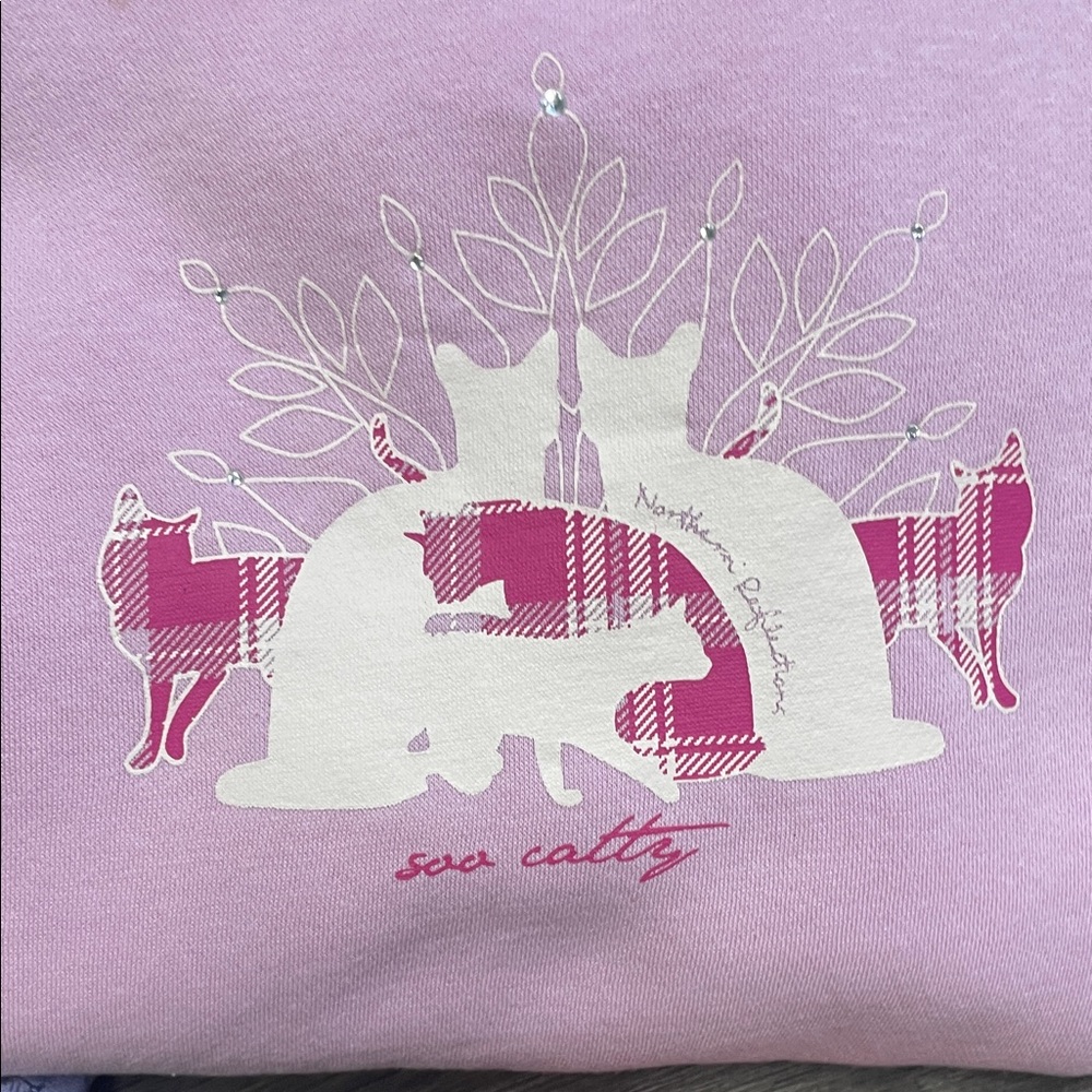 Northern Reflectins Colorful Sweatshirts size small - Picture 6 of 16